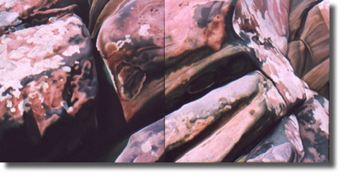 Landscape/Painting (2002)
210 x 105 cm
oil on canvas